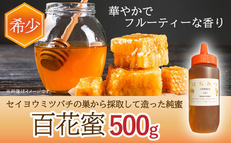 はちみつ 百花蜜 500g / お手頃 一万円 蜂蜜 国産ハチミツ とんがり容器入りはちみつ 長崎県産はちみつ 川棚町産はちみつ 国産蜂蜜 はちみつ 純粋はちみつ 天然成分100％はちみつ 【小佐々養