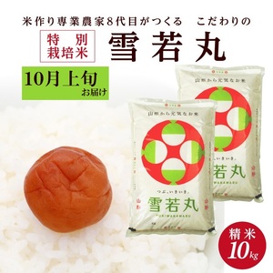 SA2226　10月上旬配送／令和6年産【精米】特別栽培米 雪若丸　10kg(5kg×2袋)「農家直送」 KA