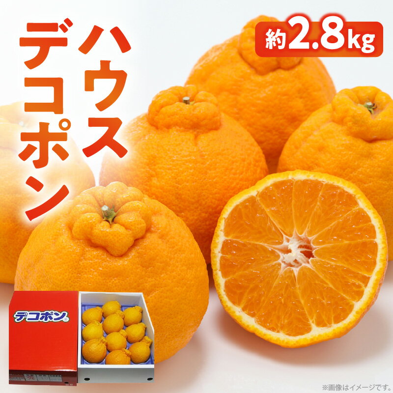 【ふるさと納税】高松産季節の果物＜ハウスデコポン＞約2.8kg【2026年12月中旬～2027年3月中旬配送】 | みかん ハウス栽培 柑橘 果実 果物 フルーツ 薄皮 薄皮ごと食べられる 自宅用 家庭用 デザート 贈り物 ギフト グルメ お取り寄せ お取り寄せフルーツ