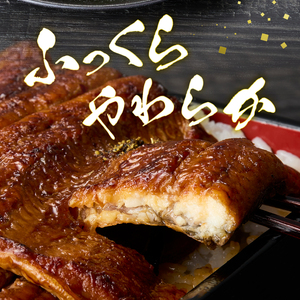 a20-226　静岡産うなぎ「静岡ご鰻悦」