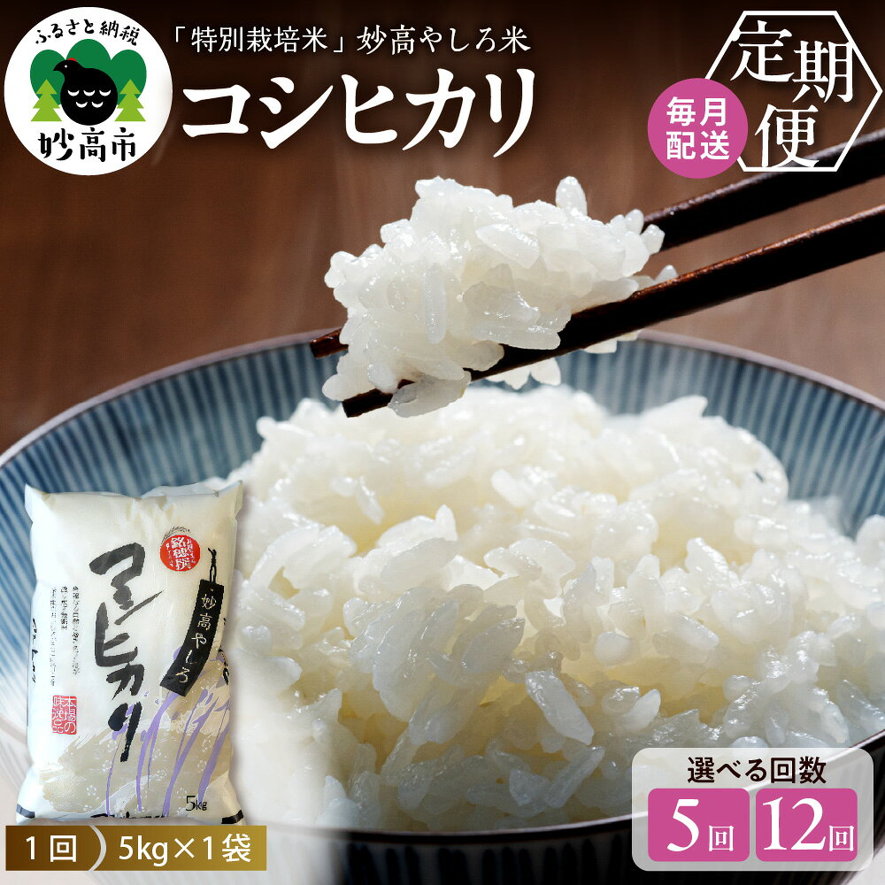 【ふるさと納税】 先行予約 令和8年産 米 定期便 ( 選べる : 5ヵ月 / 12ヶ月 ) 【 11月中旬より発送 】 新潟県 コシヒカリ 5kg 5回 12回 25kg 60kg 妙高やしろ米 定期便 お米 米 コメ 精米 米どころ こめ ご飯 ごはん ライス 弁当 2026年産 新潟県 妙高市