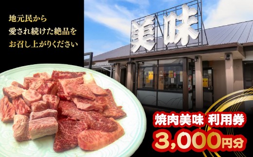 焼肉美味　利用券　3,000円分　MBAV006