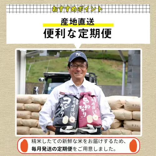 【4回定期便】米 コシヒカリ 5kg 定期便 精米 白米