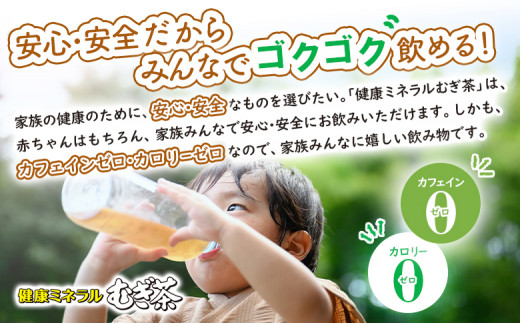 『定期便：全11回』健康ミネラルむぎ茶2L×6本