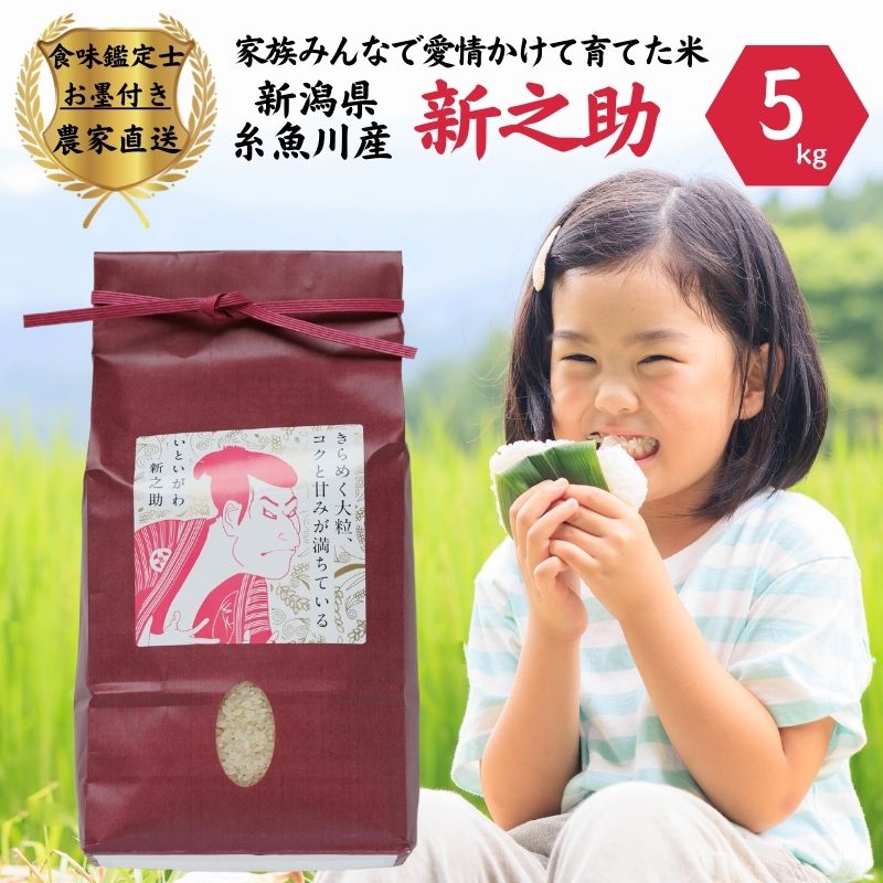 【ふるさと納税】米 令和7年産新米『新之助』5kg 食味鑑定士お墨付き 家族みんなで愛情かけて育てた米 新潟県糸魚川産 2025年 しんのすけ 白米 百姓や伝六【米 お米 こめ 食品 人気 おすすめ ギフト 新潟県の新しいブランド米 農家直送 5キロ お米 おにぎり お弁当】