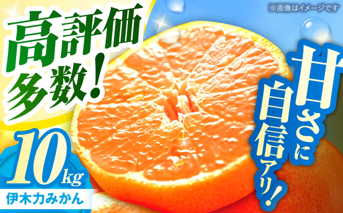 《伊木力みかん》家庭用みかん(10kg) / みかん ミカン 蜜柑 フルーツ 果物 / 諫早市 / 山野果樹園 [AHCF001]