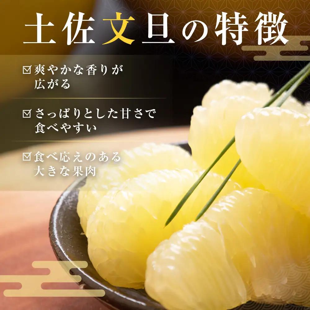 【ふるなびWEEK対象】先行予約 訳あり 土佐文旦 家庭用 約5kg 約8～15玉 M～5L混合サイズ 高知県産 FN-Limited-WE
