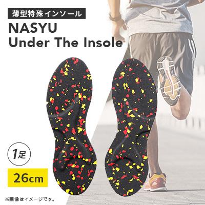 ふるさと納税 尾張旭市 Under　The　Insole　26cm