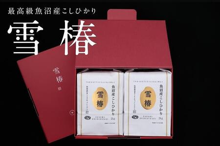 【2025年産新米】【ギフト用】最高級魚沼産コシヒカリ「雪椿」2kg×2袋 化粧箱入り 特別栽培米 |津南町 魚沼産 コシヒカリ