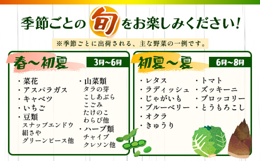 庄原産「旬の野菜」詰め合わせ箱 | 野菜セット 13～15品目 旬の野菜 やさい 1箱 冷蔵