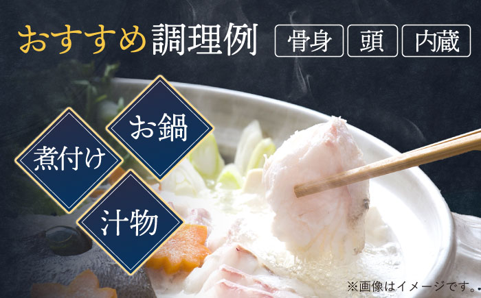 使い道いろいろ！ 活〆 クエ （ アラ ） 切身 《 対馬市 》 【 対馬逸品屋 】 海鮮 高級 鍋 おもてなし [WAF009]
