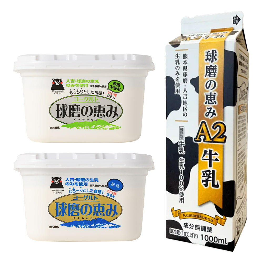 【ふるさと納税】＜選べる加糖・無糖＞球磨の恵み「A2牛乳とヨーグルト」のセット 各2パック 牛乳（1パック1000ml） ヨーグルト（1パック1kg） 加糖・無糖 生乳 カゼイ菌 乳飲料 乳性飲料 飲料 朝食 健康 腸活 冷蔵 熊本県産 国産 九州 熊本県 人吉市 送料無料