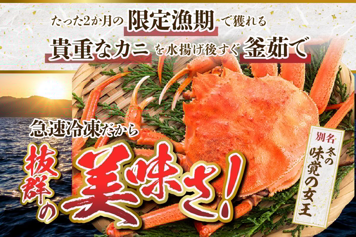 写真はイメージです。釜茹小ぶりですが、「セコガニ」は冬の味覚の女王と呼ばれております。「姿」の状態でお届けします。