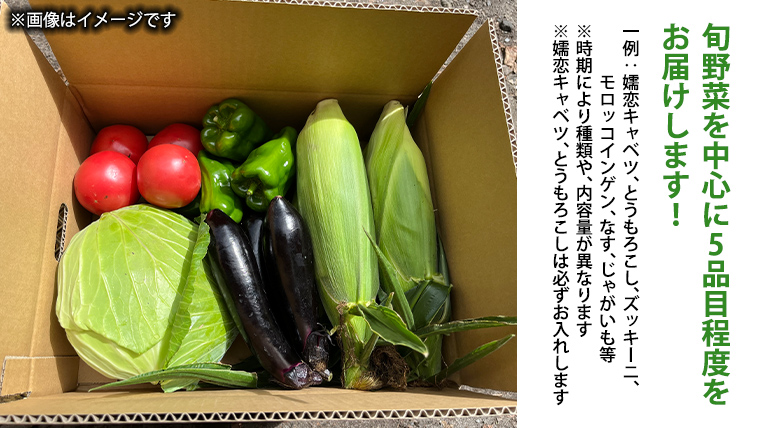 【 8月下旬発送開始 】 嬬恋キャベツ と旬の 高原 野菜 セット 1～2人 様向け 旬の野菜 先行予約 キャベツ 群馬 419 嬬恋キャベツ 産地直送 少量 詰め合わせ アソート [AK001tu]