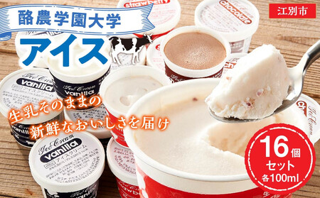 酪農学園大学アイス16個セット（各100ml） ｜ ジェラート ジェラート 乳製品   EB8-0135