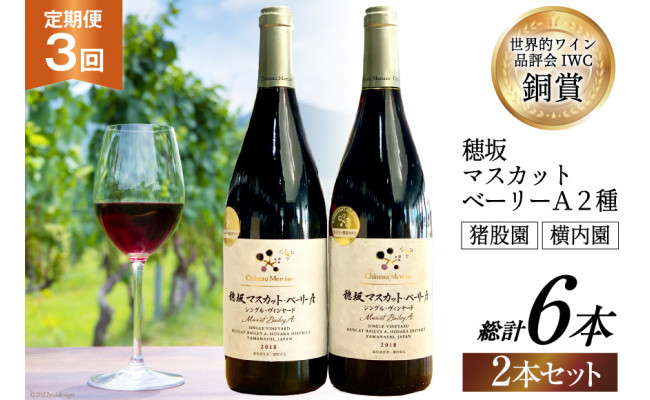 
定期便 ワイン セット 穂坂マスカット・ベーリーＡ シングル・ヴィンヤード 750ml×2種×3回 酒 ワイン 赤ワイン / シャトー・メルシャン 勝沼ワイナリー / 山梨県 韮崎市 [20740999]
