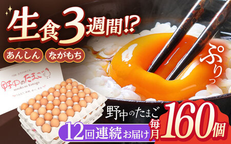 【12回定期便】産みたて新鮮たまご 野中のたまご 160個[OAC012]