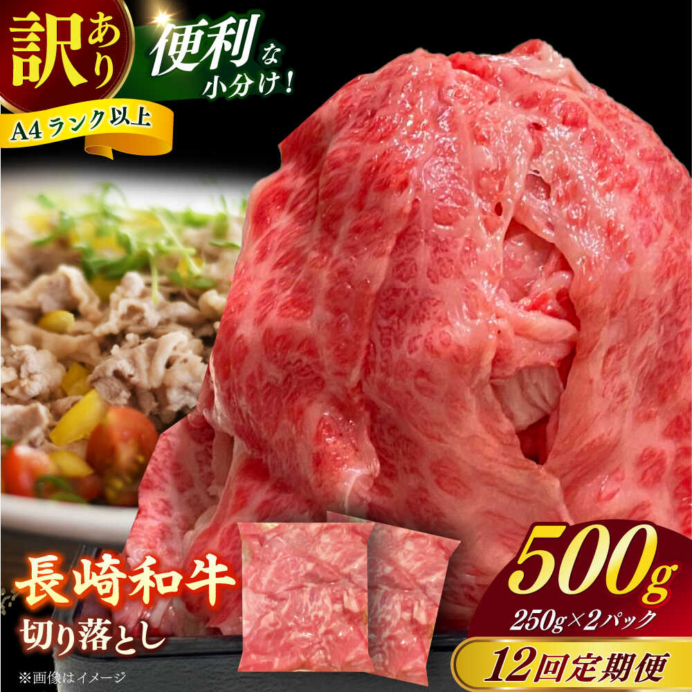 【ふるさと納税】【全12回定期便】【訳あり】長崎和牛（バラ、モモ、肩ロースのいずれか）500g 切り落とし 250g×2P 小分け 【株式会社時愉亭】[RCE024]