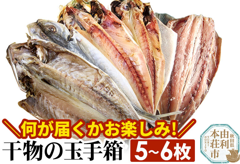 干物の玉手箱 5～6枚 [魚 鮮魚 干物 おかず おつまみ 食べ比べ セット おまかせ 冷凍 贈答 秋田]
