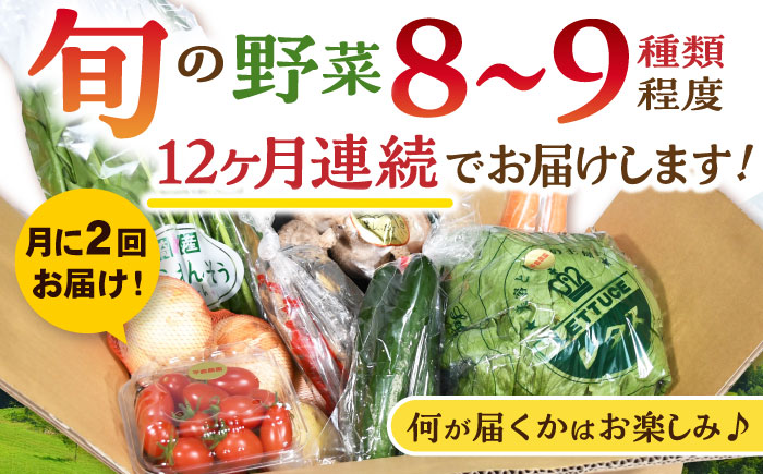 月2回お届け 【24回定期便】諫早産 野菜の詰め合わせ 8～9品目程度 / 季節 旬 野菜 やさい 春野菜 夏野菜 秋野菜 野菜セット 詰め合わせ 野菜定期 野菜定期便 定期便 / 諫早市 / 肥前グ
