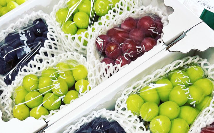 ニューピオーネ 贈答 ギフト 特産品 産地直送 取り寄せ お取り寄せ 送料無料 広島 三次
