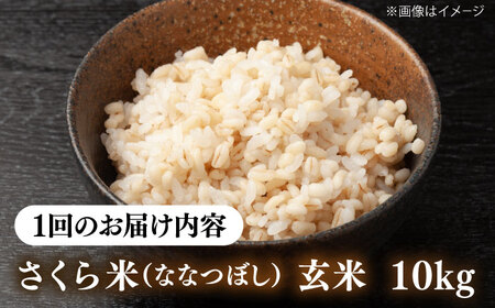 【全2回定期便】【玄米】ななつぼし さくら米 10kg  特A 北海道[AXAB079]