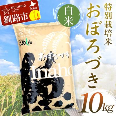 ふるさと納税 釧路市 特別栽培米おぼろづき 10kg 白米 北海道産 米 コメ F4F-9792