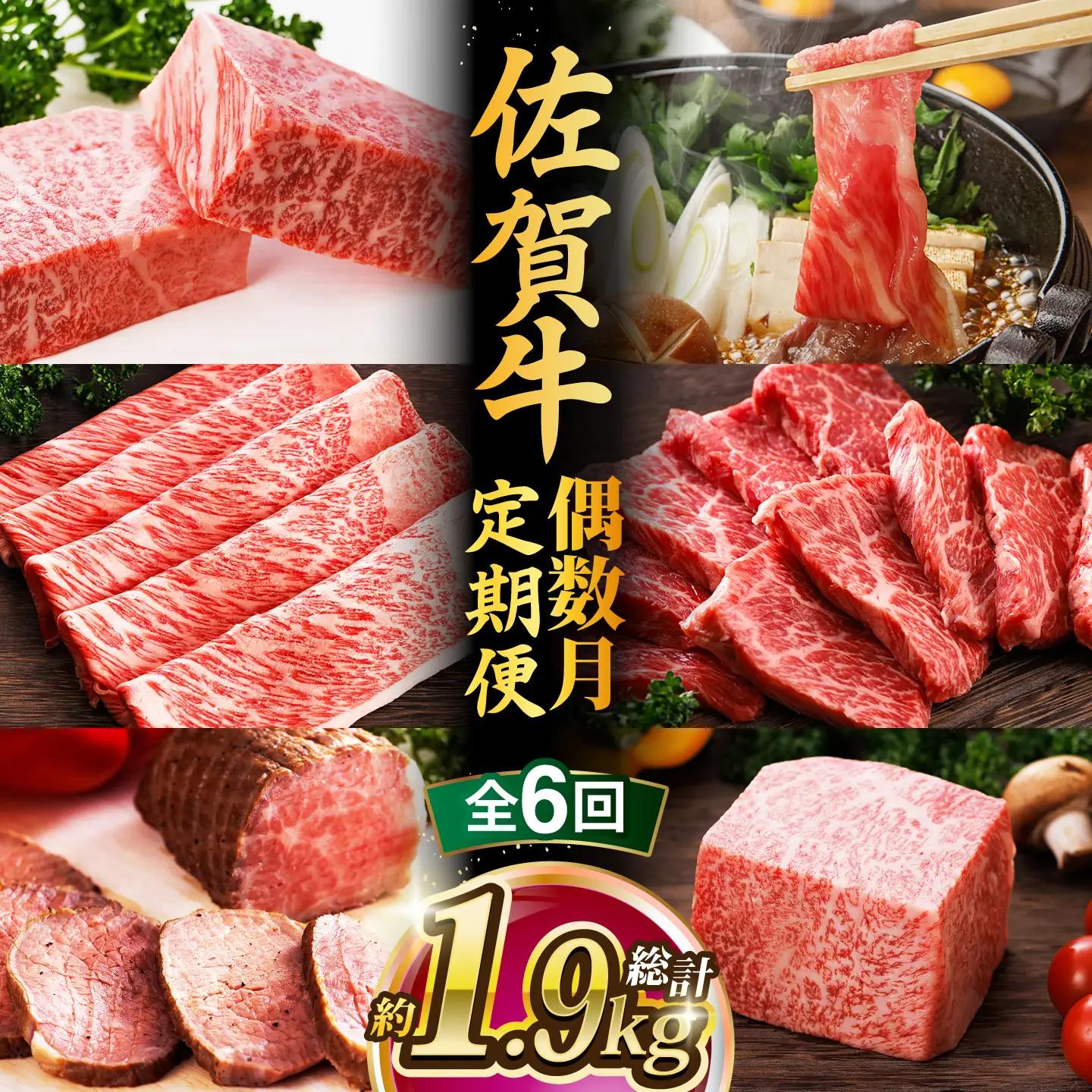 【全6回・偶数月】 佐賀牛 肉定期便 約2-3人前 [UCC008]