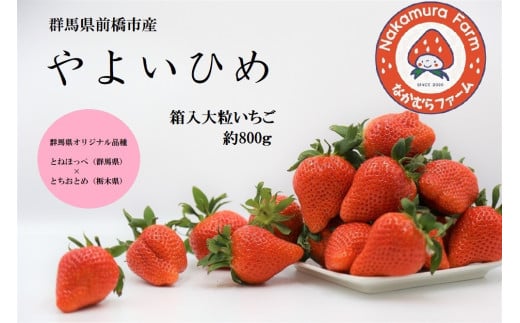 
            【2026年 先行予約】いちご 『やよいひめ』 約800g【2025年群馬県いちご品評会入賞！】| 群馬県 前橋市
          