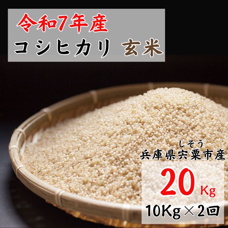 【ふるさと納税】X1【 令和7年産 新米 受付開始 】しそうのおいしい お米　コシヒカリ 玄米 20kg　【 新米 米 こめ コメ コシヒカリ こしひかり 玄米 兵庫県産 宍粟市産 兵庫県 宍粟市 】