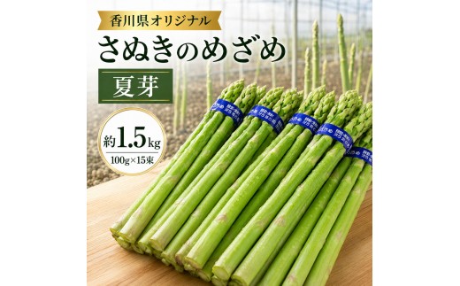 
[№5911-0082]香川県オリジナルアスパラガス「さぬきのめざめ」夏芽 約1.5kg
