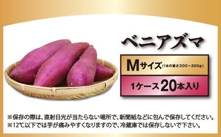 千葉県神崎町 JAかとり産 さつまいも 紅あずま Mサイズ20本入り ほくほく香ばしい 定番の味 焼き芋・干し芋に べにあずま ベニアズマ  [001-a003]【千葉県神崎町ふるさと納税】【焼き芋 