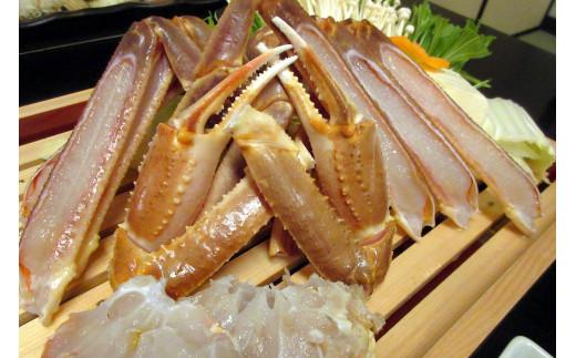 【先行予約】【訳アリ】松葉ガニ（生）2枚（計1.6kg以上）【年明け配送】《ずわいがに　かに　カニ　蟹》