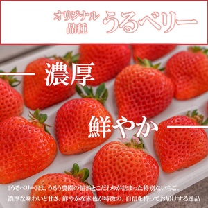 GF001_【2025年11月中旬～2026年4月発送】紅白いちご440g ゆりかーごC2パック