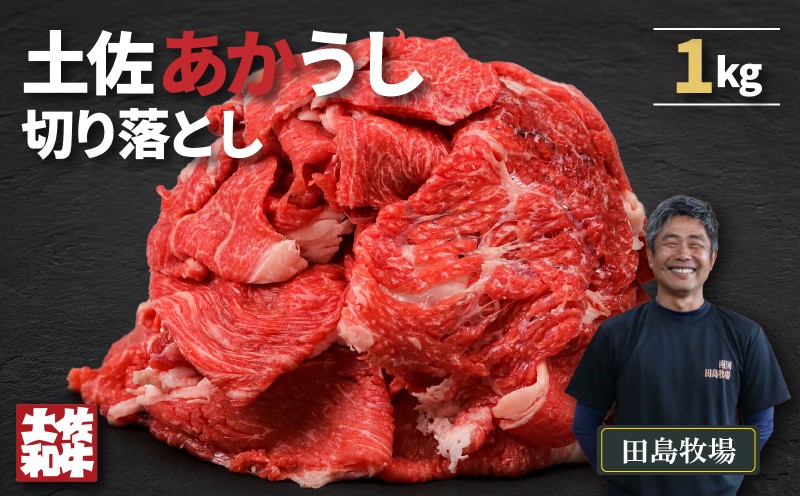 
                  赤身 土佐 あかうし 赤牛 切り落とし 1kg | 和牛 あか牛 アカウシ 牛肉 大容量 1キロ 希少 ブランド牛 国産 プレゼント ギフト 冷凍 贈答 高知県 南国市
                