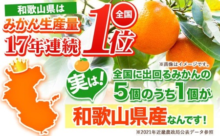 みかん はれひめ 約5kg 　みかん