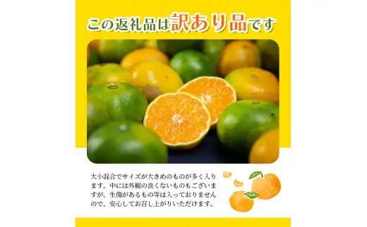 みかん 訳あり 極早生温州みかん 約10kg＋傷み保証分400g 2S～3Lサイズおまかせ【njb692A】