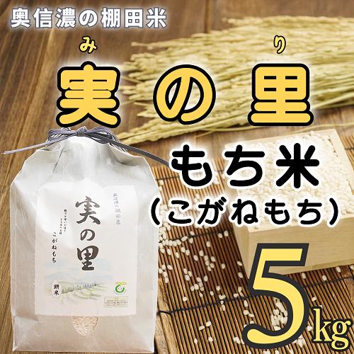 【令和6年産】〈特別栽培米〉長野県産 もち米 こがねもち『奥信濃の棚田米 実の里 5kg』 (6-94A)