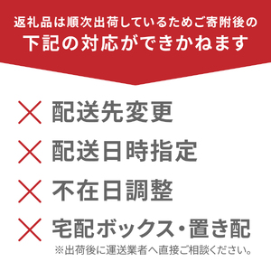 【ふるなび限定】強炭酸水【最短3日】VOX バナジウム 500ml 24本(コーラフレーバー)  炭酸 FN-Limited-PR