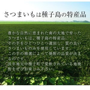 焼酎セットE「島乃泉・紫育ち」(1.8L×各1本) 鹿児島 種子島 芋 いも お酒 四元酒造 【四元商店】n023-2