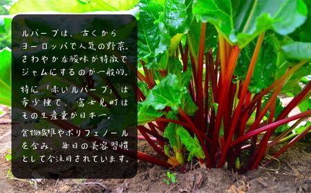 ルバーブドレッシング（分離タイプ）170g×４本入 | ルバーブドレッシング 馨工房