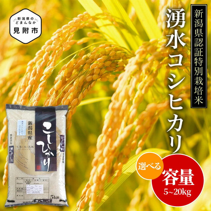 【ふるさと納税】 米 5kg 10kg 20kg 新潟県産 こしひかり 令和7年産 コスパ 精米 特別栽培米 令和7年産 コシヒカリ 「湧水コシヒカリ」精米 したてを お届け 新潟 おすすめ 5キロ 米 お米 白米 国産 送料無料 ブランド 減農薬 おこめ 新潟産 見附 見附市