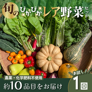 農薬化学肥料不使用 雲の上ガーデンのぴかぴか野菜セット【お試し便】季節にあわせて10品目前後をお届け【L001】季節 旬 詰め合わせ 採れたて 新鮮 産地直送 高知県産 冷蔵便
