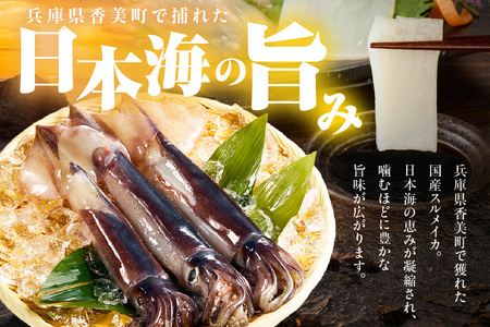 【先行予約】【スルメイカ たっぷり約1.5kgサイズ不揃い（冷凍）】令和7年6月中旬以降順次発送予定 バラ凍結 産地直送 鮮度抜群 大人気 ふるさと納税 香美町 香住 送料無料 イカ するめいか  山