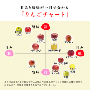 りんご 志賀高原 秋映 秀16玉 5kg りんご