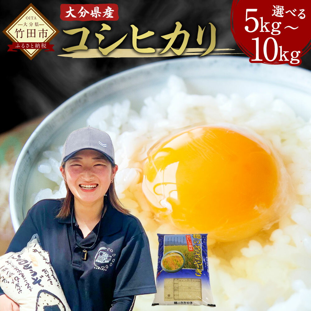 【ふるさと納税】〈選べる容量〉令和7年産 コシヒカリ 5kg／10kg 大分県産 こしひかり 精米 米 国産 九州産 竹田市産 送料無料【2025年10月下旬発送開始予定】