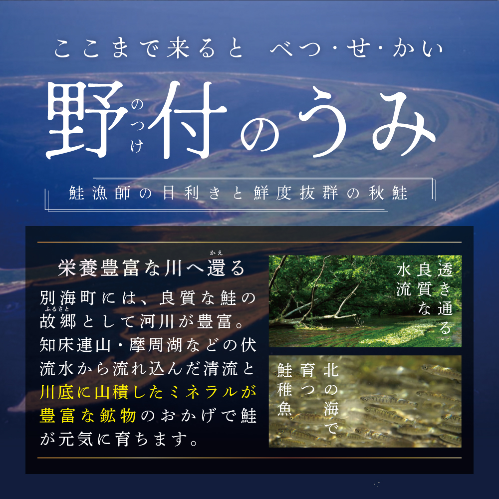 ★ME【訳あり】「秋鮭の切り身（無塩）」2.8kg【MS000MG01】（ 鮭 秋鮭 シャケ 秋シャケ 北海道産鮭 北海道産秋鮭 道産鮭 道産秋鮭 鮭切り身 鮭切身 さけ さけ切り身 さけ切身 国産鮭