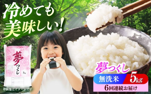 【全6回定期便】【令和7年度産】無洗米 無洗米 夢つくし 5kg 精米 《築上町》【有限会社ファインリョーコク】 [ABCO035] ふるさと納税 ごはん 米 お米 白米 こめ コメ ブランド米 精米 国産 新生活 お祝い ギフト 仕送り 仕送りしおくり シオクリ siokuri 新生活 一人暮らし ひとりぐらし 110000 110000円