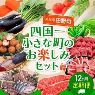 【四国一小さなまち】≪2024年1月発送開始≫★定期便 12ヶ月★～田野町お楽しみセット12回コース『A』～