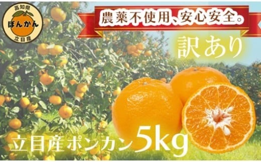 【 早期予約開始 】 ポンカン 訳あり 5kg 2026年 1月下旬より順次発送 収穫分 無農薬 ブランド サイズ混合 家庭用 立目産ぽんかん 柑橘 みかん 高知県 須崎市 MO004